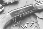 Semi-Automatic .22 (SA-22)