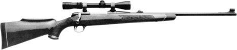 Sporter/Classic