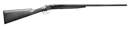 Bobwhite