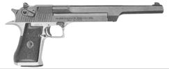 Desert Eagle 50 Action Express