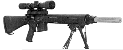 Panther Bulldog