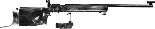 Champion Free Rifle