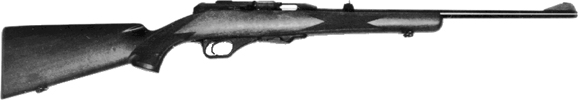 Model 300