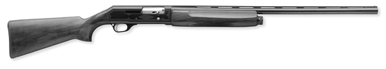 Sharptail