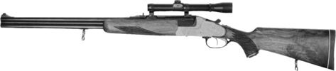 Ulm Model