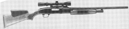Model 500 Slugster