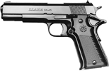 Large Frame Semi-Automatic