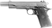 Model Max-I with Compensator