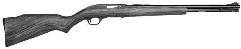 Model 60DL