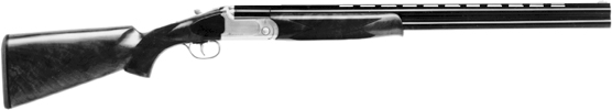 Sporting Clays Model