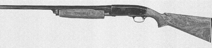 Model 31