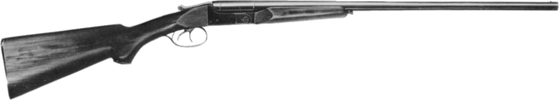 Squire Shotgun
