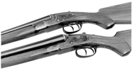 Later Production Hammerless Shotguns