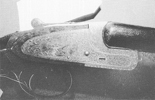 Later Production Hammerless Shotguns