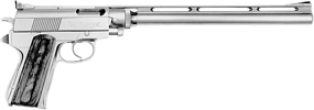 Survivor Model