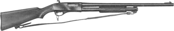 Model 166L