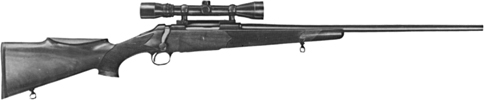 Model 3000