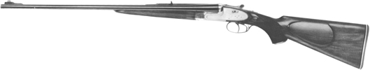 Super Express Rifle