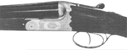 Model Piuma (BSEE)