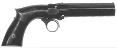 Pepperbox