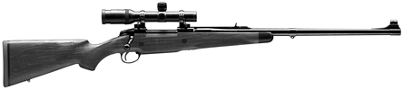 Safari 80th Anniversary Model