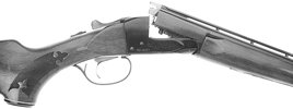 Fox Model BSE