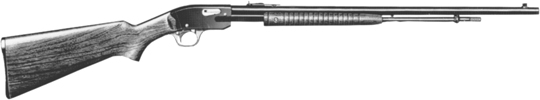 Model 29