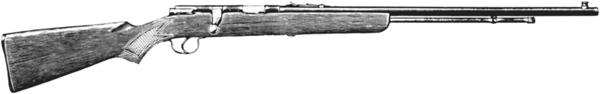 Model 5