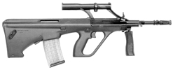 Steyr AUG—Police Model