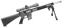 Sporting Competition Rifle