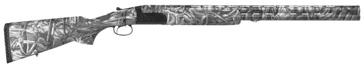 Waterfowl II