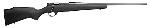 Vanguard Compact