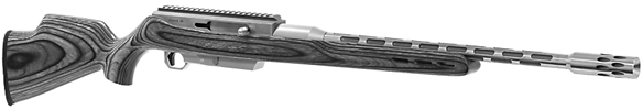 Evolution Model