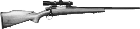 Jaguar Grade I